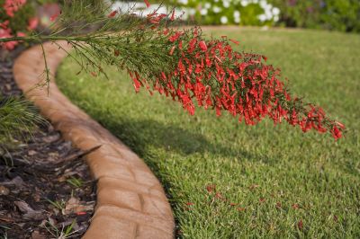 Landscape Curbing Installation