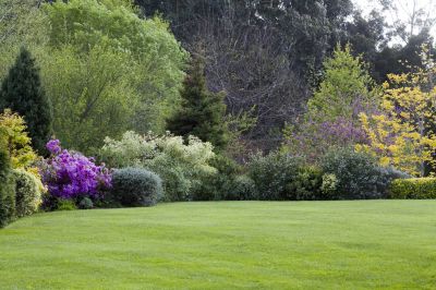 Landscape Maintenance Service