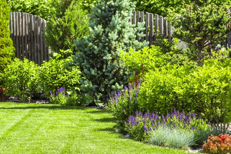 Landscape Remodeling