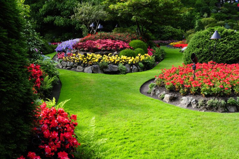 Landscaping Modification