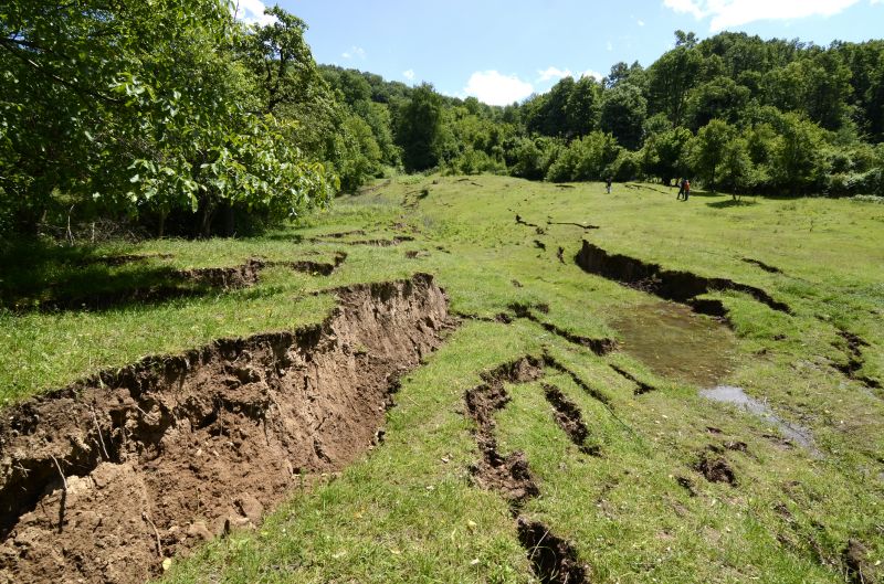 Lawn Erosion Control