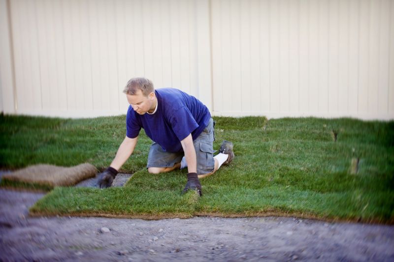 Lawn Patching