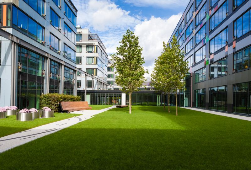Lawn Renovation