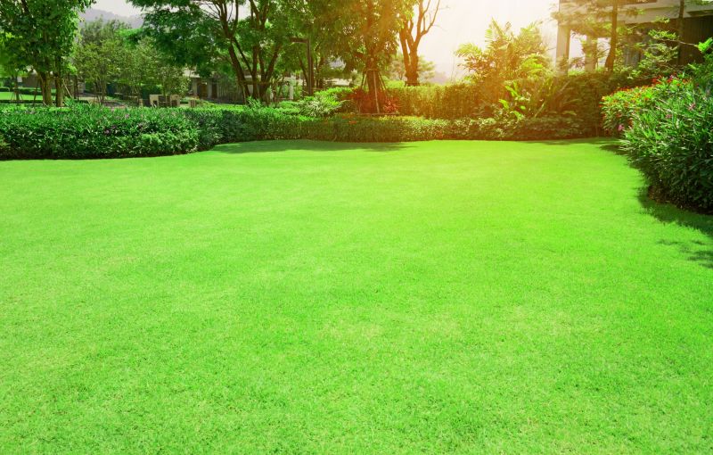 Lawn Repair Service