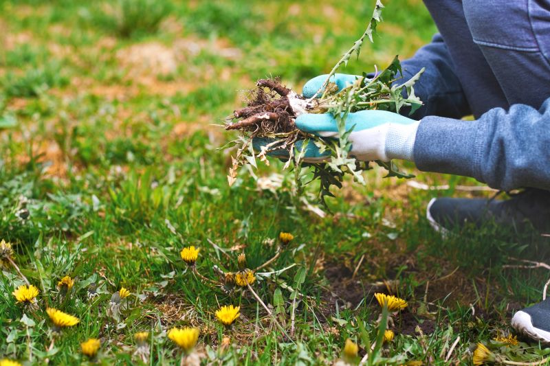 Monthly Garden Maintenance