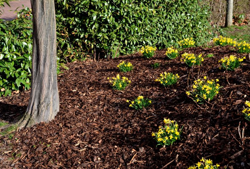Mulch Service