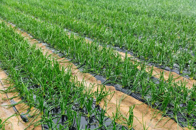Orchard Planting