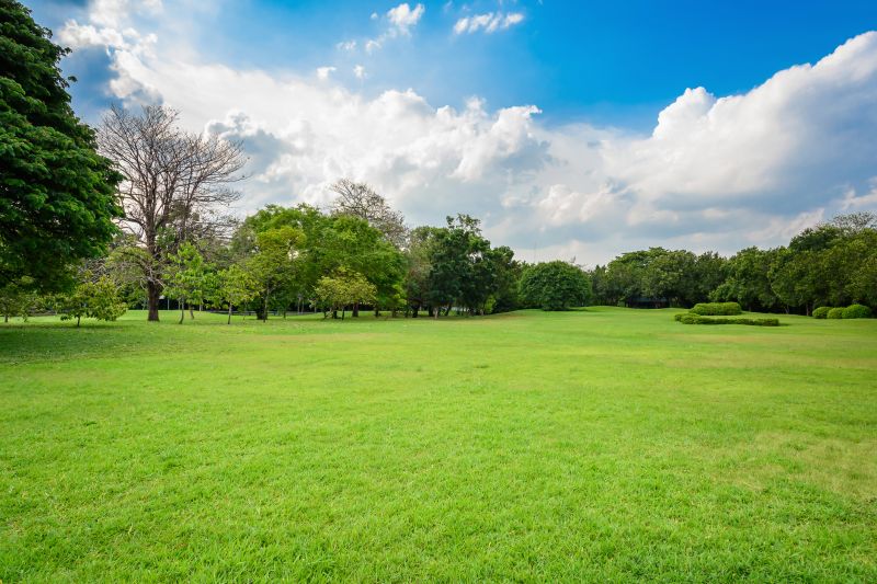 Park Landscaping