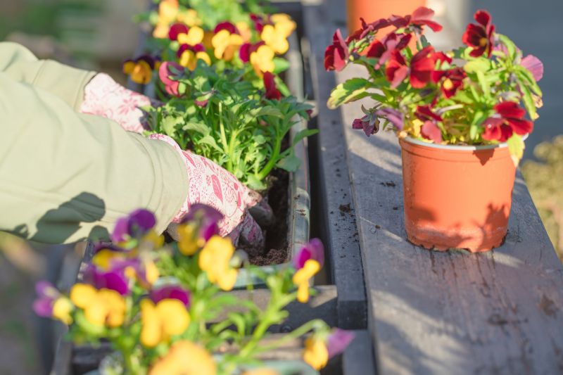 Perennial Flower Planting