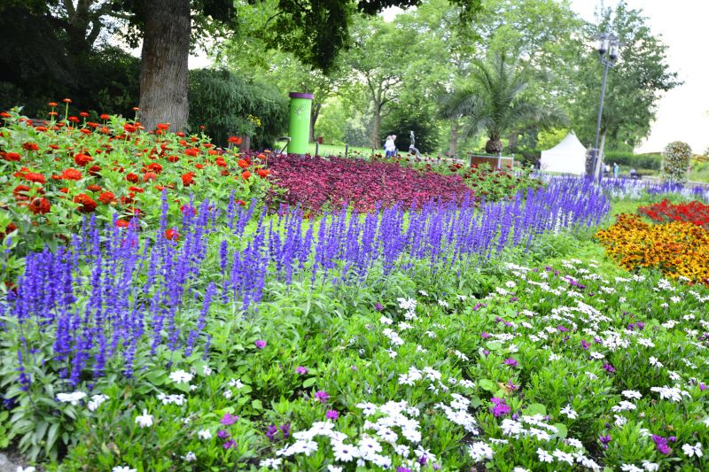 Perennial Landscaping
