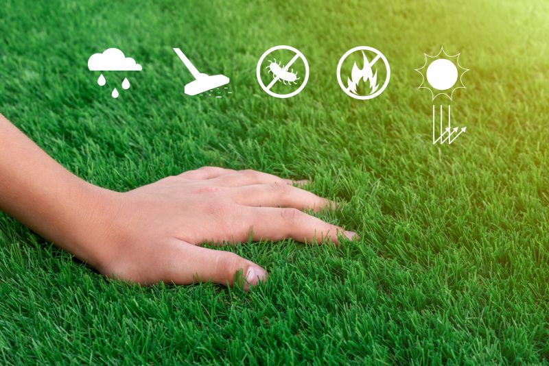 Pet Friendly Turf Installation