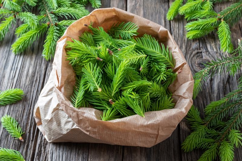 Pine Bark Delivery