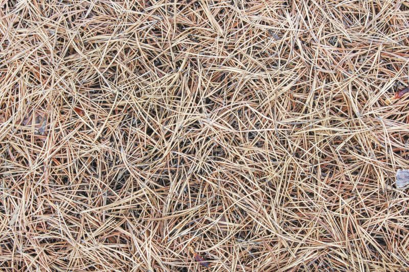 Pine Mulch Spreading