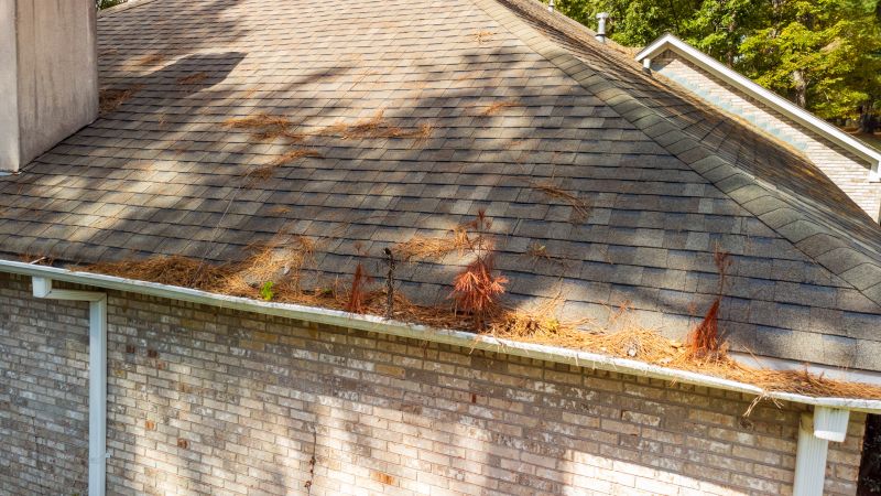 Pine Needles Installation