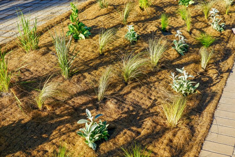 Plant Bed Weeding