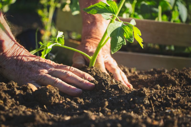 Planting Service