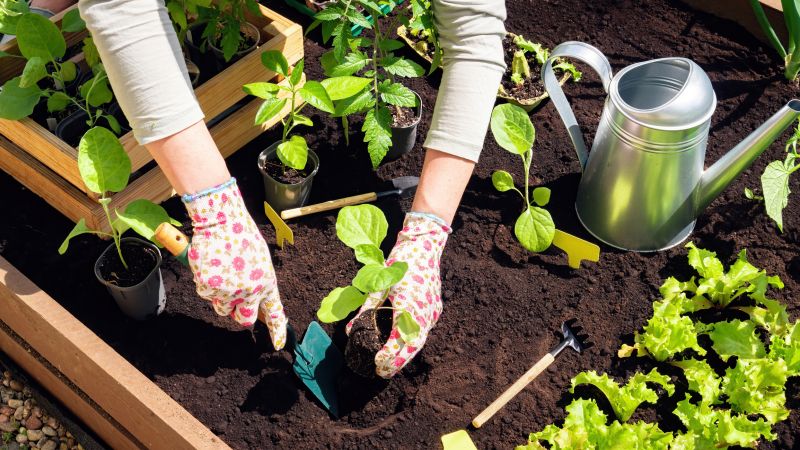 Planting Service