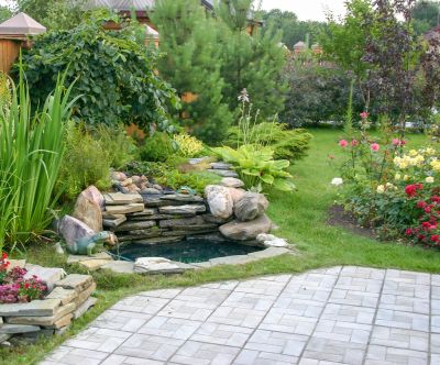 Pond Landscaping Service