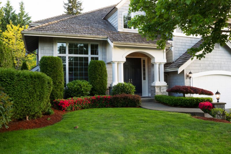 Privacy Shrub Installation