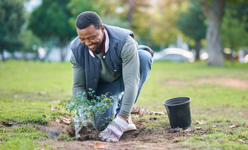 Rose Planting