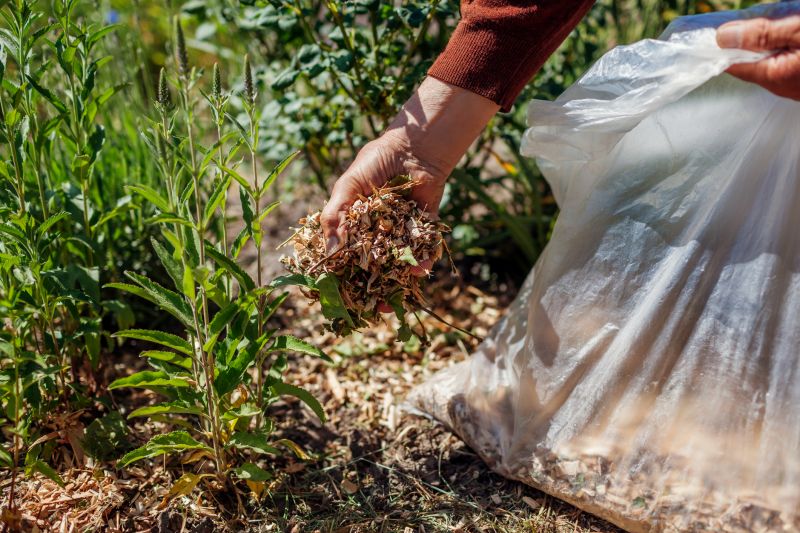 Shredded Mulch Installation