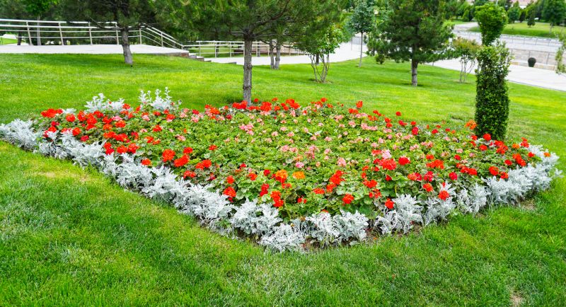 Shrub Installation