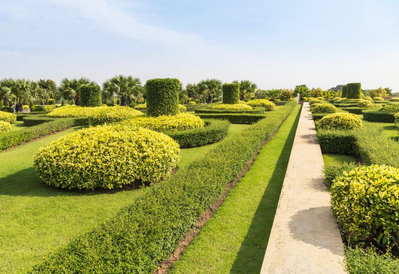 Shrub Installation