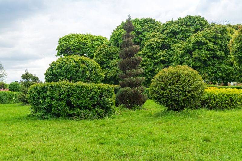 Shrub Landscaping