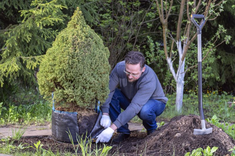 Shrub Planting Service
