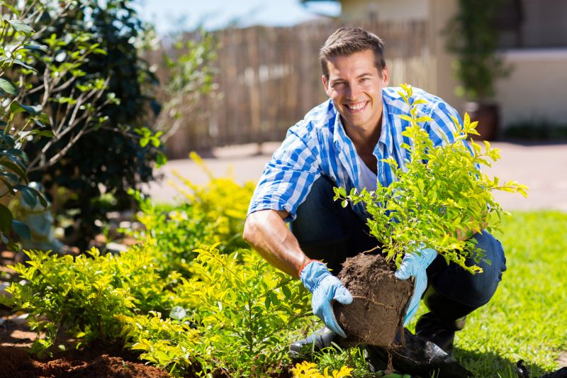 Shrubbery Planting