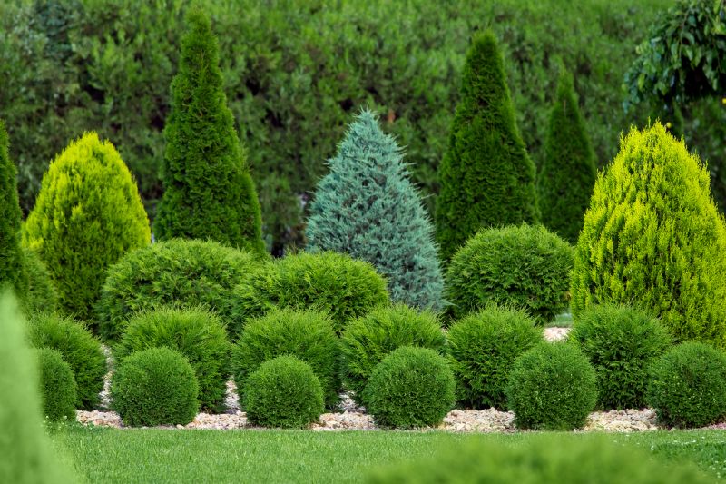 Shrubbery Planting