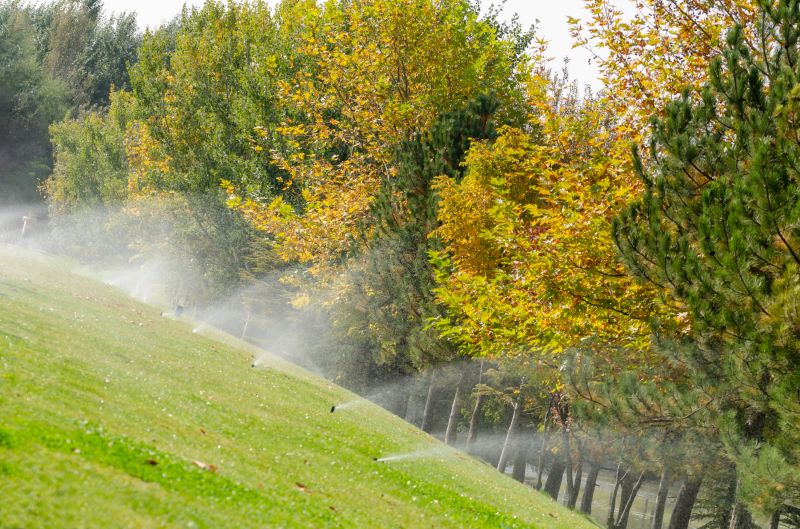 Slope Landscaping