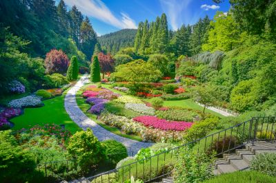 Small Garden Landscaping