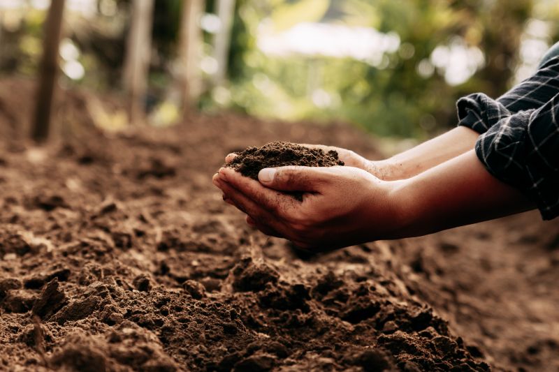 Soil Erosion Repair