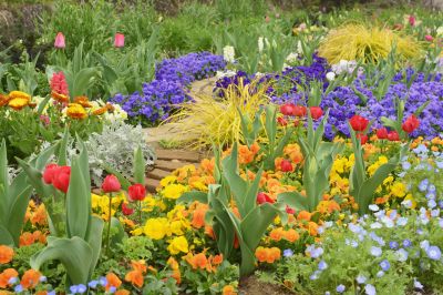 Spring Yard Renovation