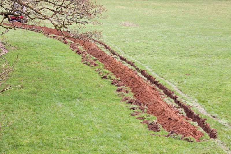 Swale Landscaping