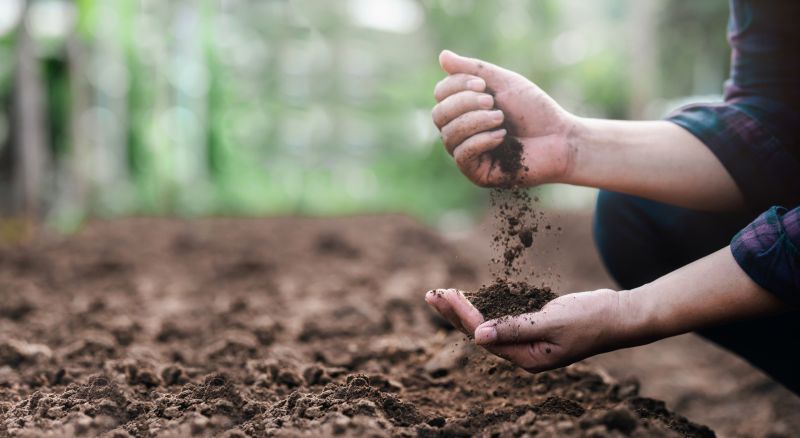 Topsoil Service