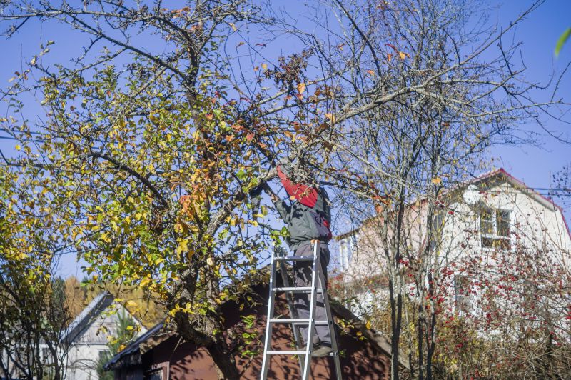 Tree Cabling Service