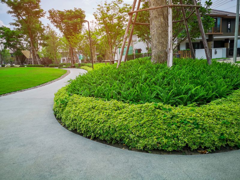 Tree Edging Installation