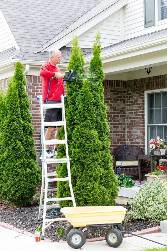 Tree Edging Installation