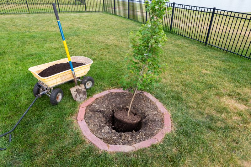 Tree Landscaping