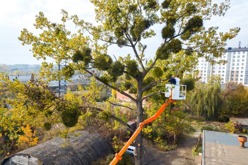 Tree Staking Service