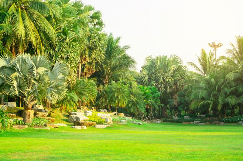 Tropical Landscaping