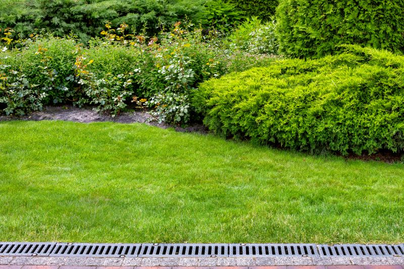 Water Landscaping Service