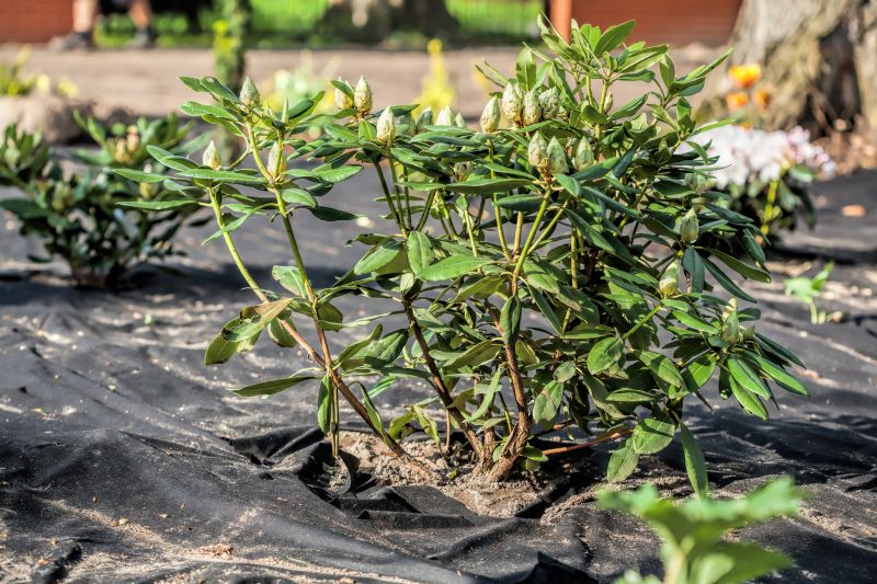 Weed Suppressant Installation