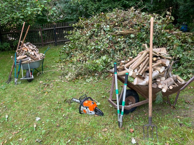 Wood Chips Removal