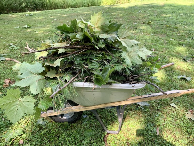 Wood Mulch Delivery