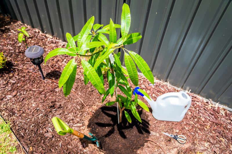 Wood Mulch Installation