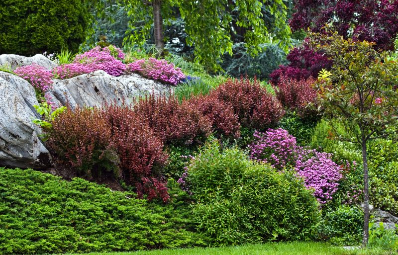 Xeriscape Landscaping