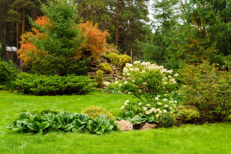 Xeriscape Landscaping